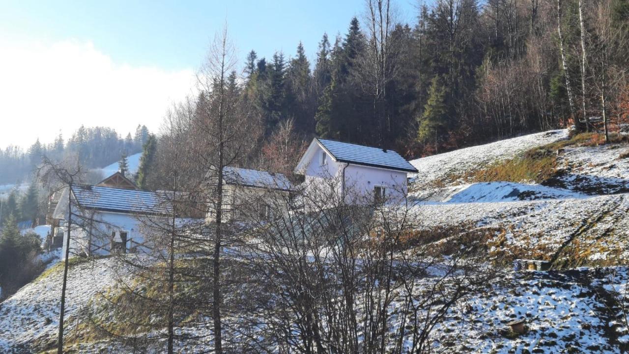Domki Na Stoku Wisła Eksteriør bilde